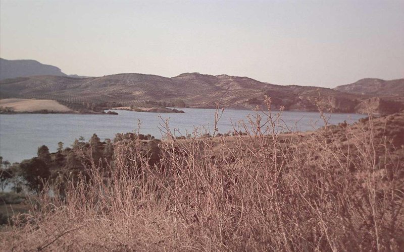 当 Agent 开始拥有工具和权限,软件该怎么组织